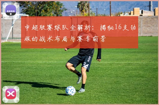 中超联赛球队全解析：揭秘16支劲旅的战术布局与赛季前景